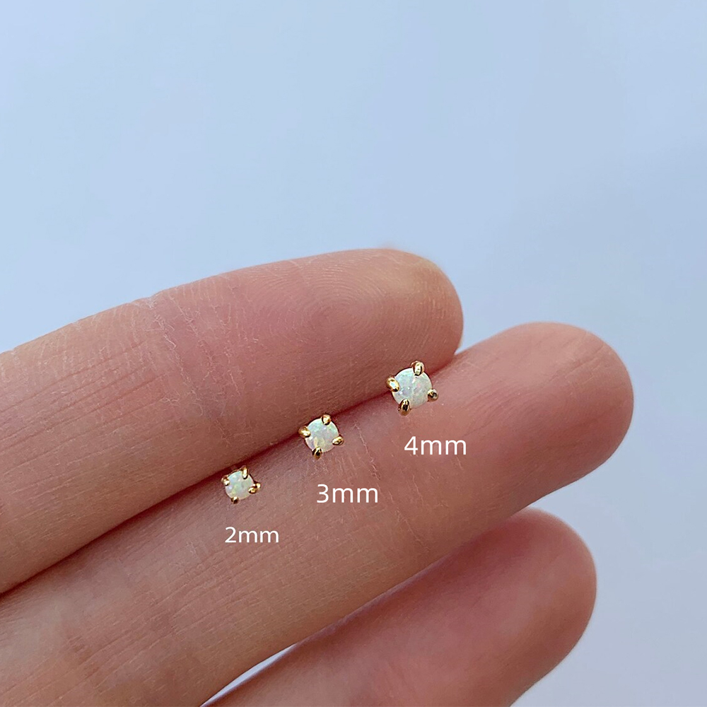 ชุดต่างหูเงินสเตอร์ลิง925 roxi - Body Jewelry Kit บทวิจารณ์และราคา