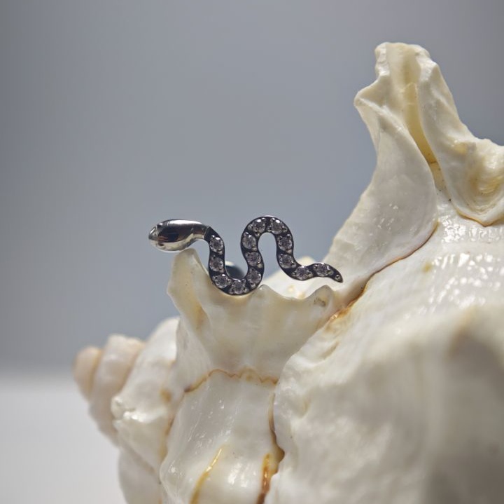 ต่างหูไทเทเนียมเกรด 16G ขัดเงา - Body Jewelry Implant Grade บทวิจารณ์และราคา